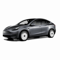 HaloDisc 2 Wheel Covers - Silver Track
