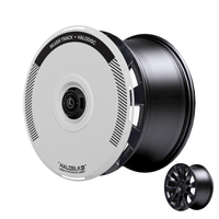 HaloDisc 2 Wheel Covers - Silver Track