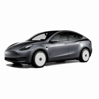 HaloDisc 2 Wheel Covers - RTP