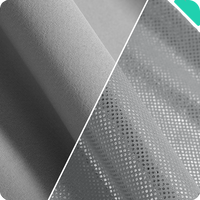 Haloblk Glass Roof Sunshade