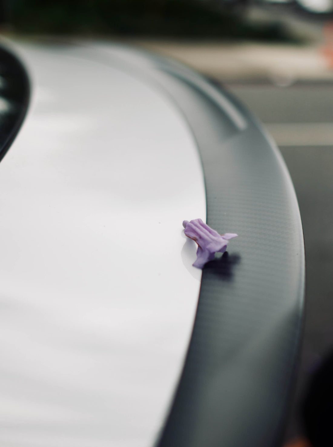 Haloblk Carbon Fibre Spoiler