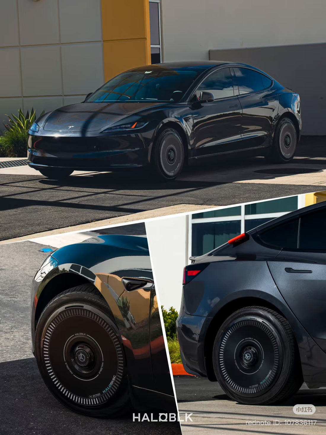 HaloDisc 2 Wheel Covers - Regen