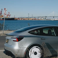 HaloDisc 2 Wheel Covers - Silver Track